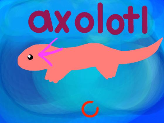 axolotl