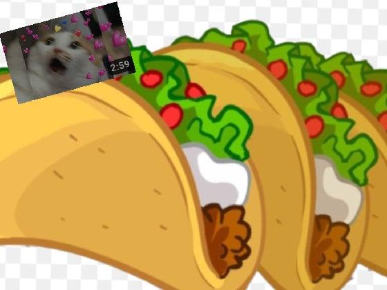 its raining tacos  😽🌮