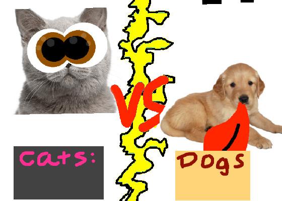 Dogs vs Cats!!🐈🐕 1