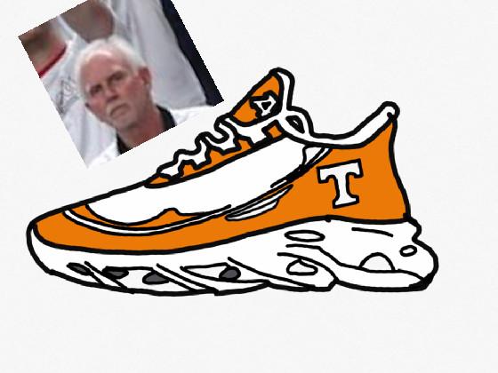 Tennessee Volonteers Yeezys 1