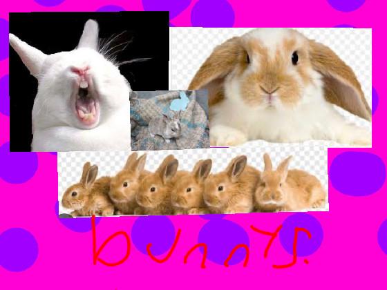 bunny’s by andrea