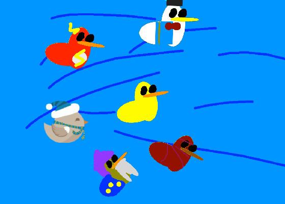 Watch duck sim