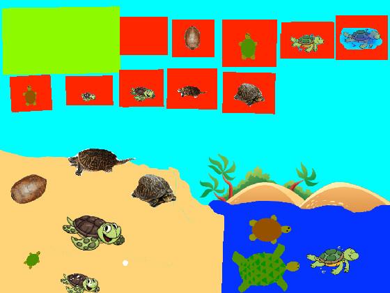 Turtle Clicker!  1