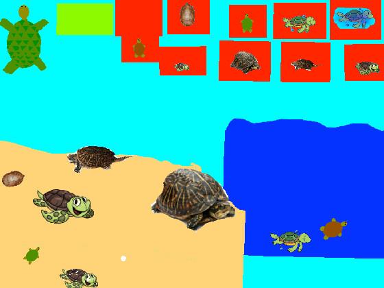 Turtle Clicker!  1