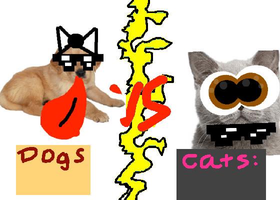 Dogs vs Cats!!🐈🐕 1