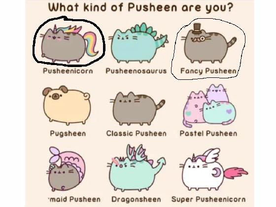 Adopt-A-Pusheen 2