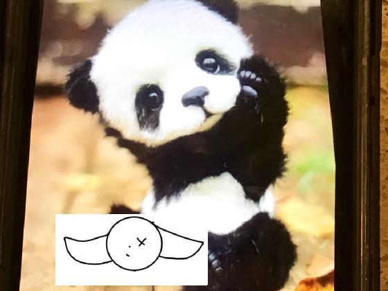 Add your oc with panda 1