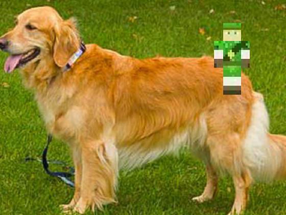 Link And PUP