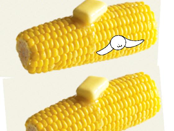 iT’S cOrN song