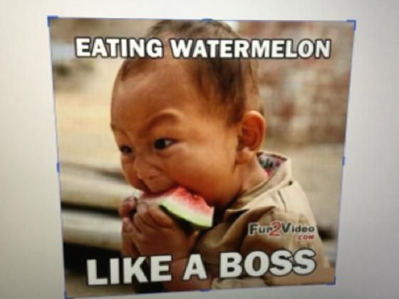 like a boss 🍉 1 1