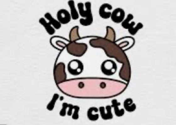 Holy Cow, I’m Cute song