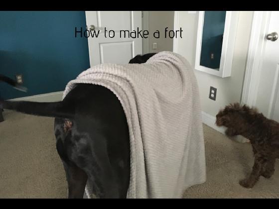 how to make a fort EZ