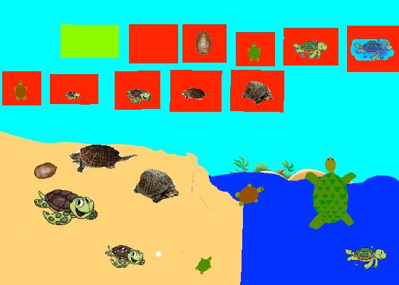 Turtle Clicker!  1