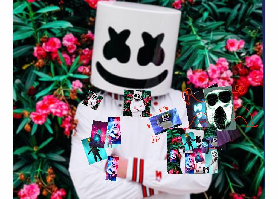 MARSHMELLO 1000 1