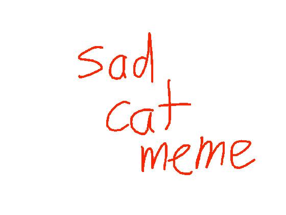 Sad cat meme