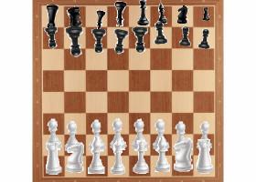 Chess 1 1