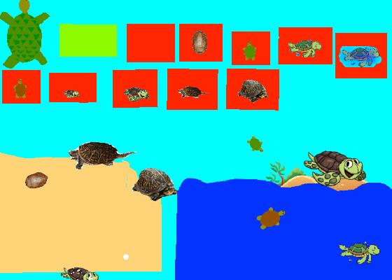 Turtle Clicker!  1