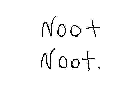 NOOT NOOT