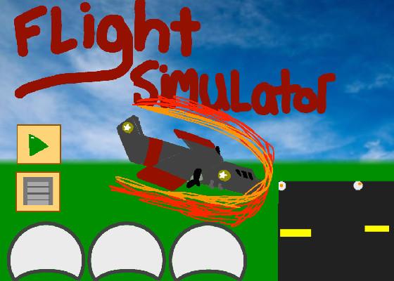 Flight Simulator 1