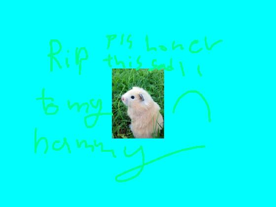 hamster died :(