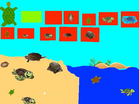 Turtle Clicker!  1 1