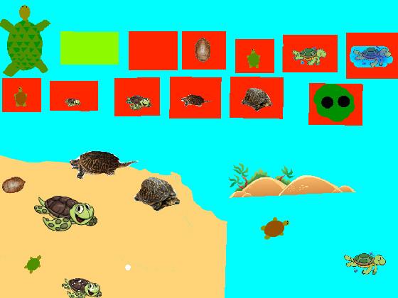 Turtle Clicker!  1 1