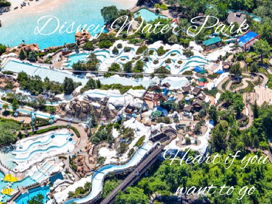 Disney Water Park