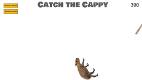 Cappy Catch but better