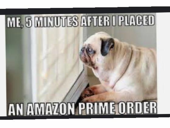 Amazon prime order 