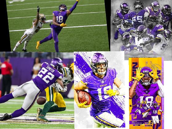 Minnesota Vikings 2