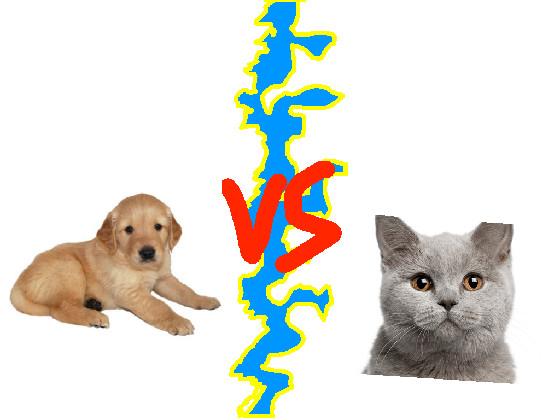 Dogs vs Cats 1