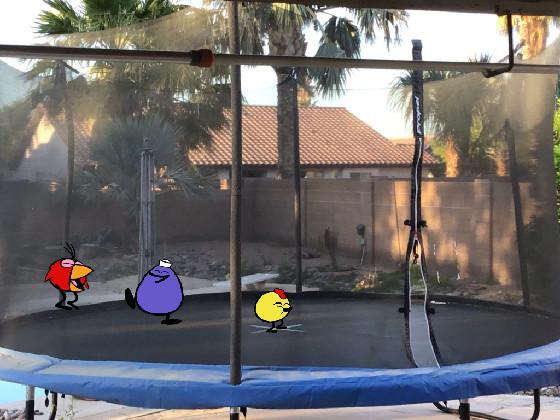 Trampoline fun