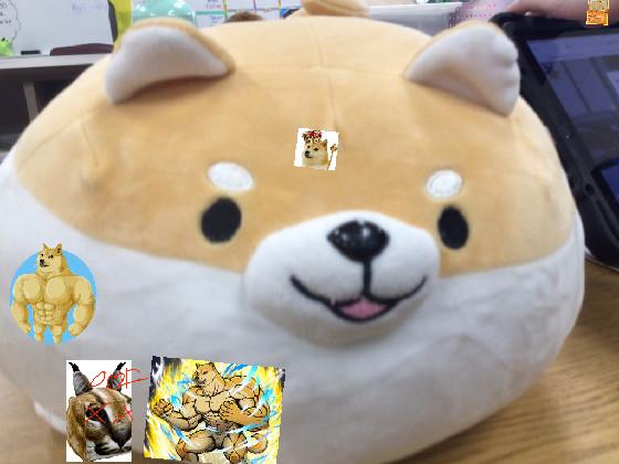 i like doge 1