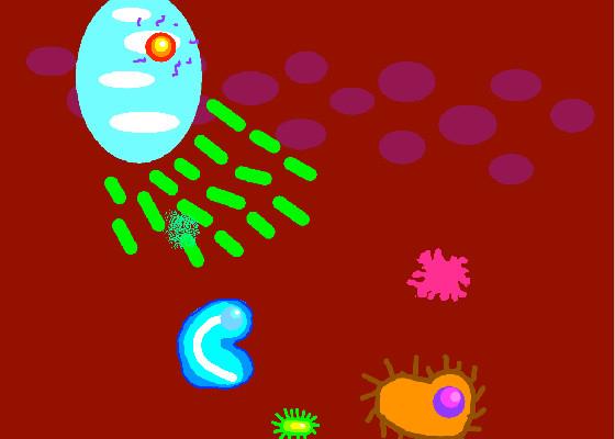 Immune System 1