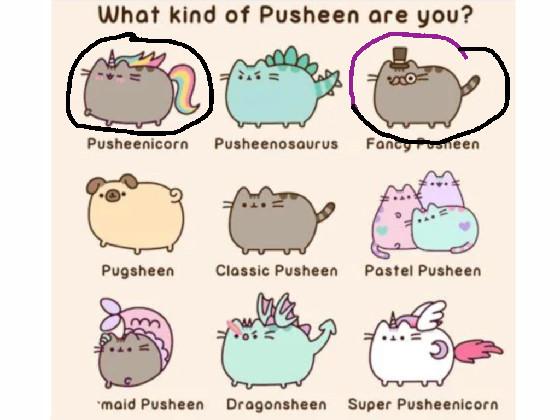 Adopt-A-Pusheen 2 1