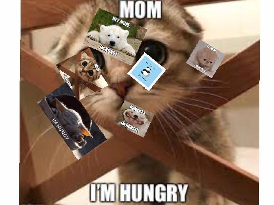 hugry animals