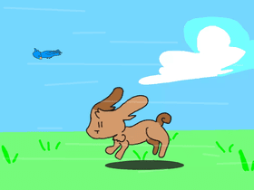 Bunny Run+Animation