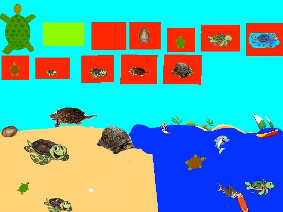 Turtle Clicker!  1