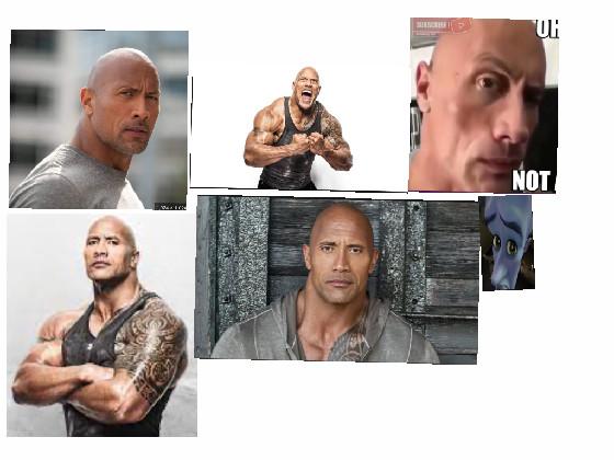 the rock