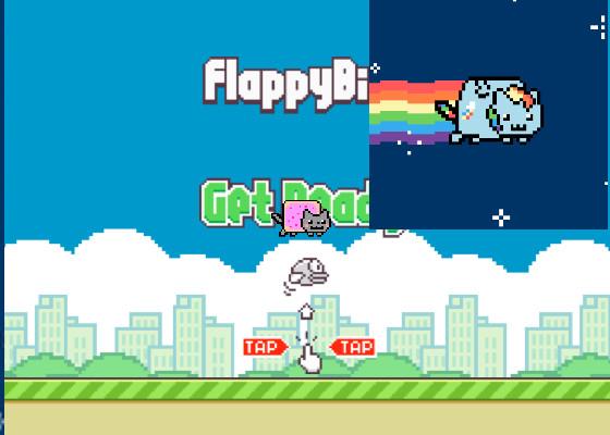 Flappy kitten! 1