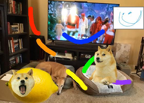 doge eats lemon! click this!