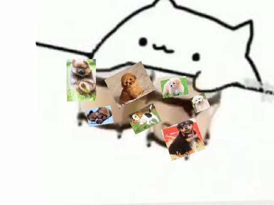 Bongo Cat  1