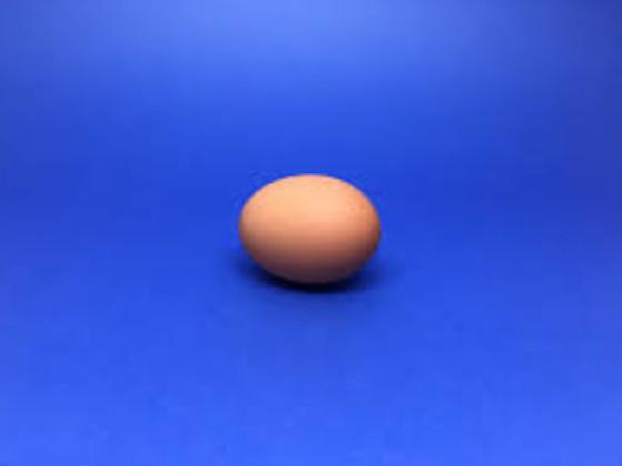 EGGS