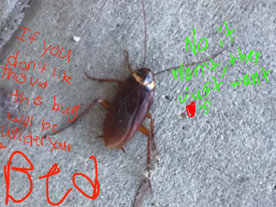 the bug meme 1