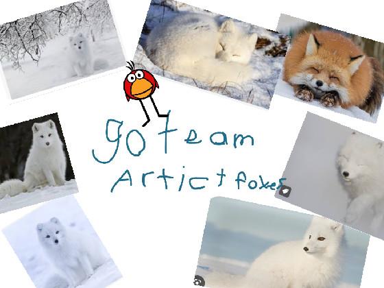 Go Team Artict Foxes