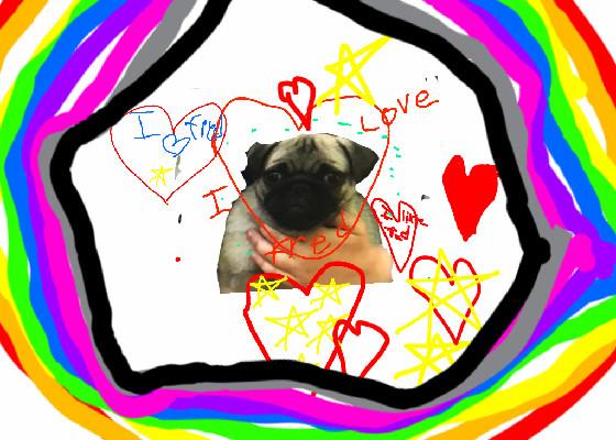 My Pug