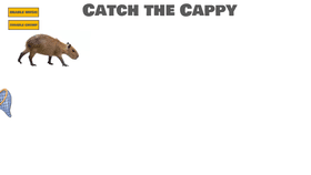 Cappy Catch