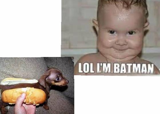 baby batman hotdog meme