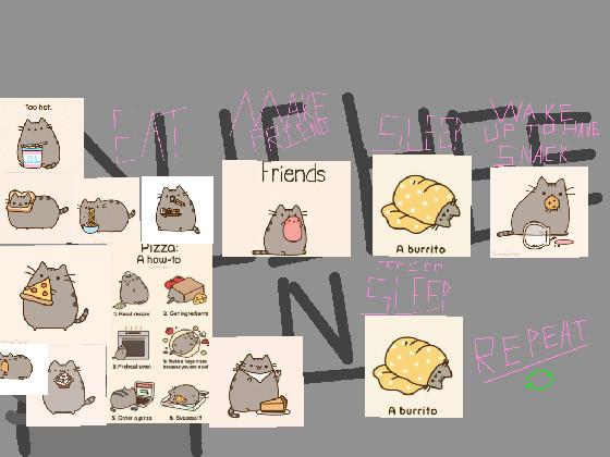 Pusheen Life