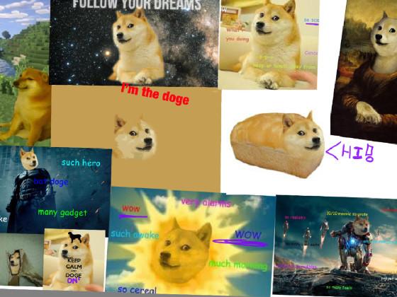 doge is god